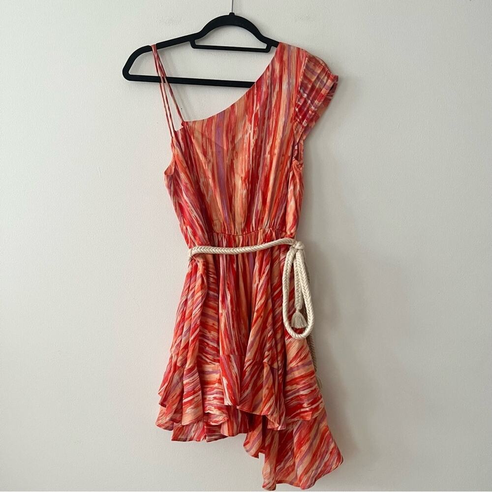 Free People Asymmetric Printed Belted Mini Dress - Picture 3 of 9